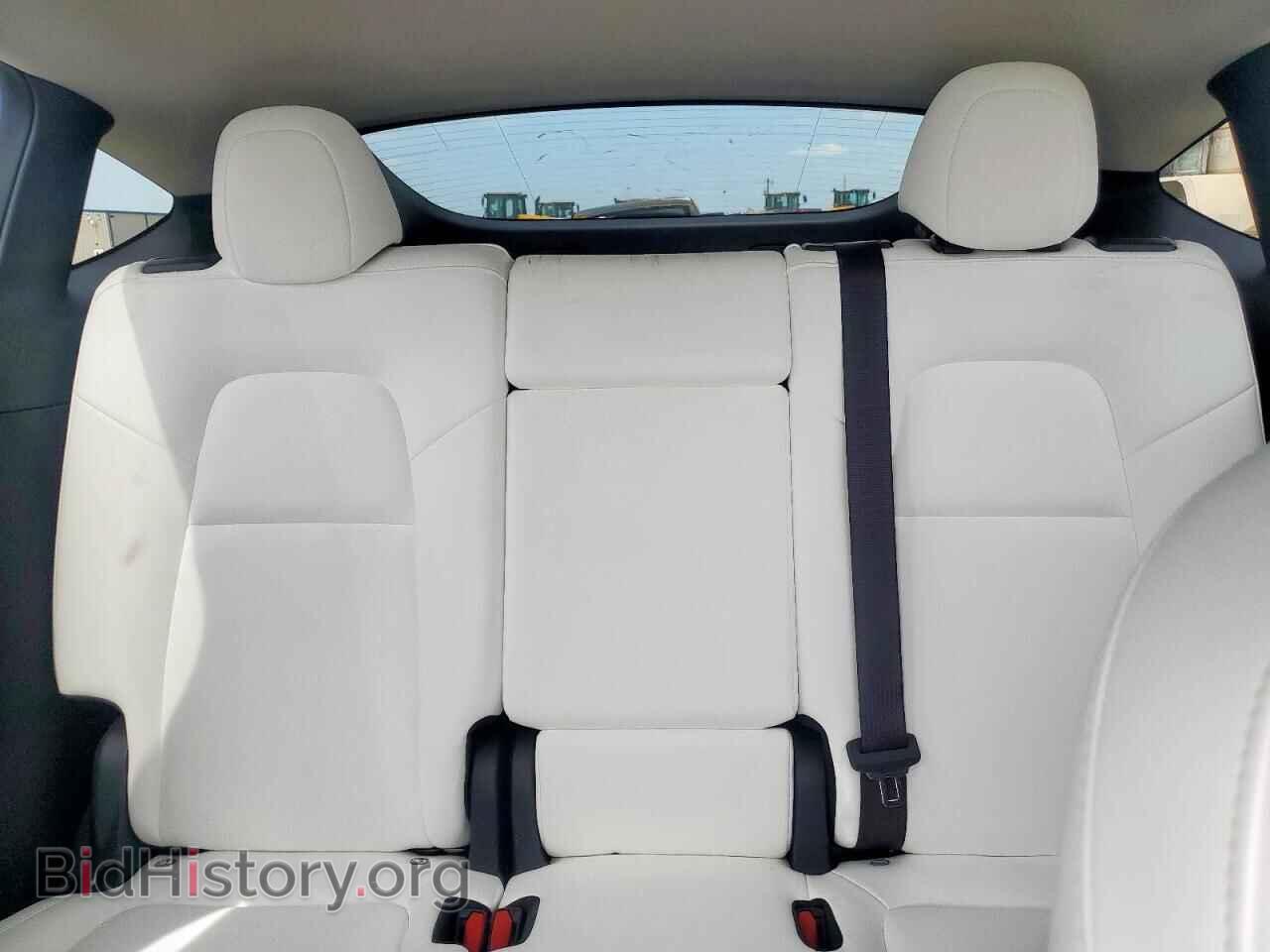 2024 TESLA MODEL Y - VIN: 7SAYGAEE0RF048494 - Фото 10