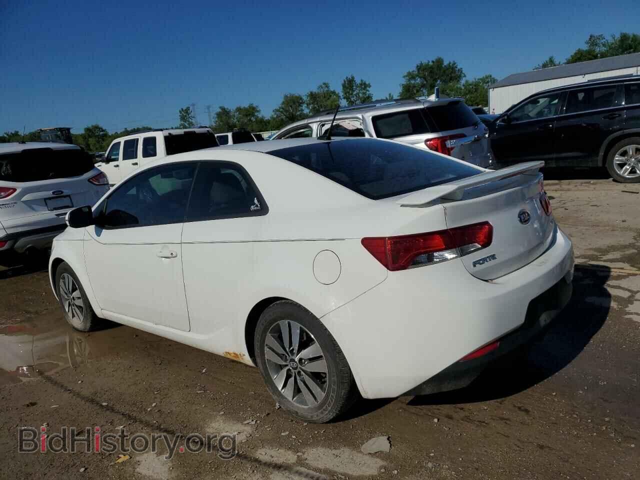 2013 KIA FORTE - VIN: KNAFU6A23D5739273 - Фото 2