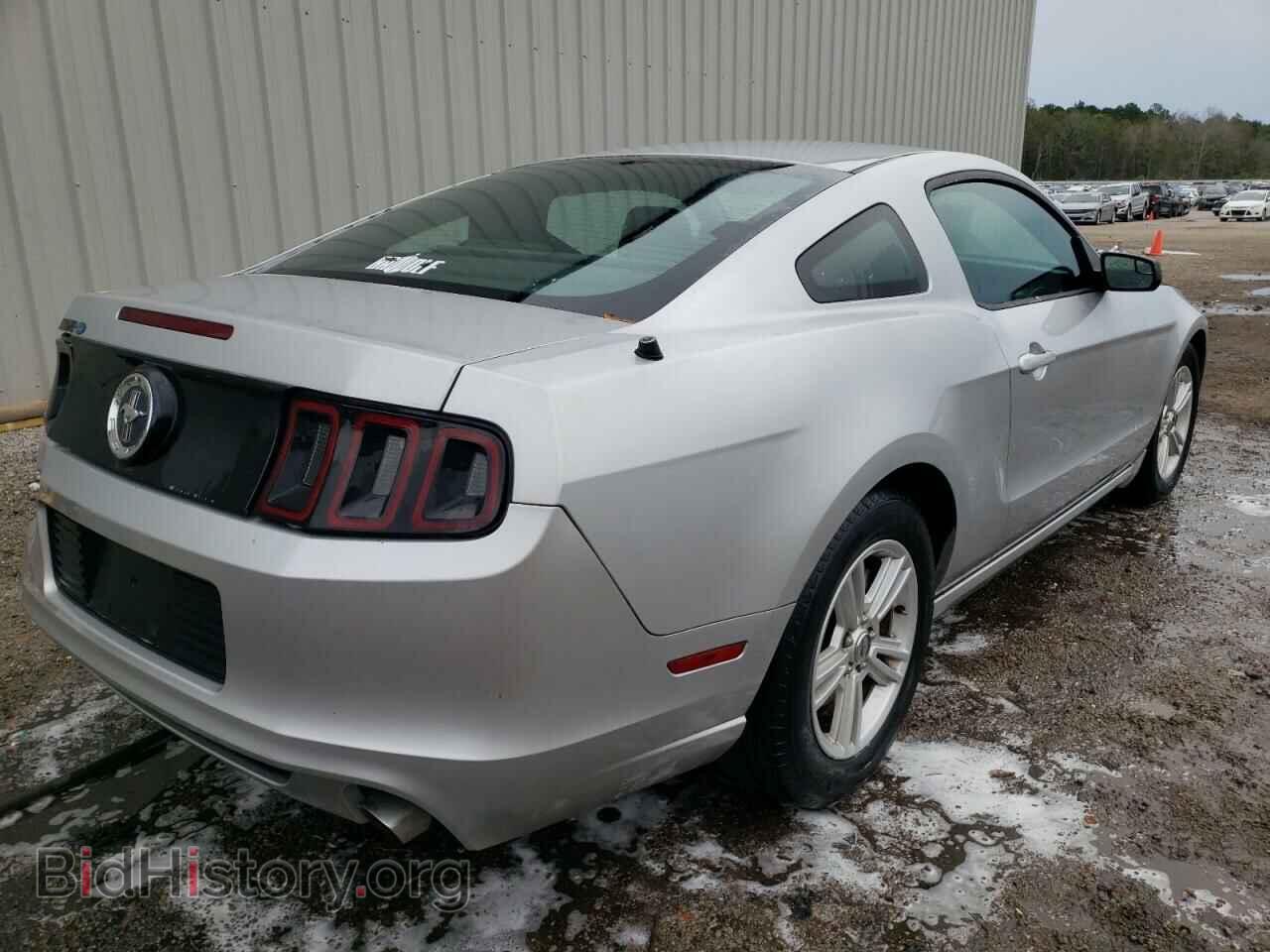 2013 FORD MUSTANG - VIN: 1ZVBP8AM7D5268263 - Фото 4