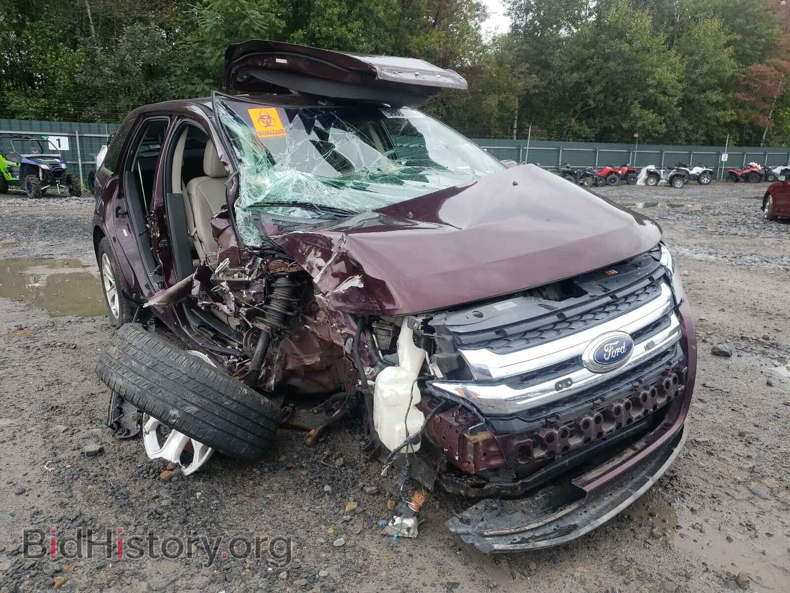 Фотография 2FMDK4JC1BBB17031 - FORD EDGE 2011