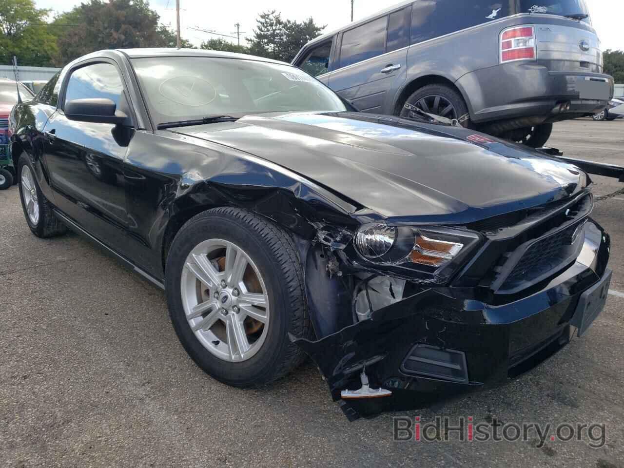 Photo 1ZVBP8AM0C5245387 - FORD MUSTANG 2012