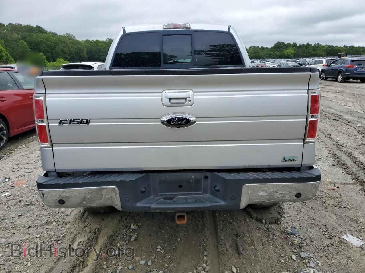 2010 FORD F-150 - VIN: 1FTFW1EV0AFA84631 - Фото 6