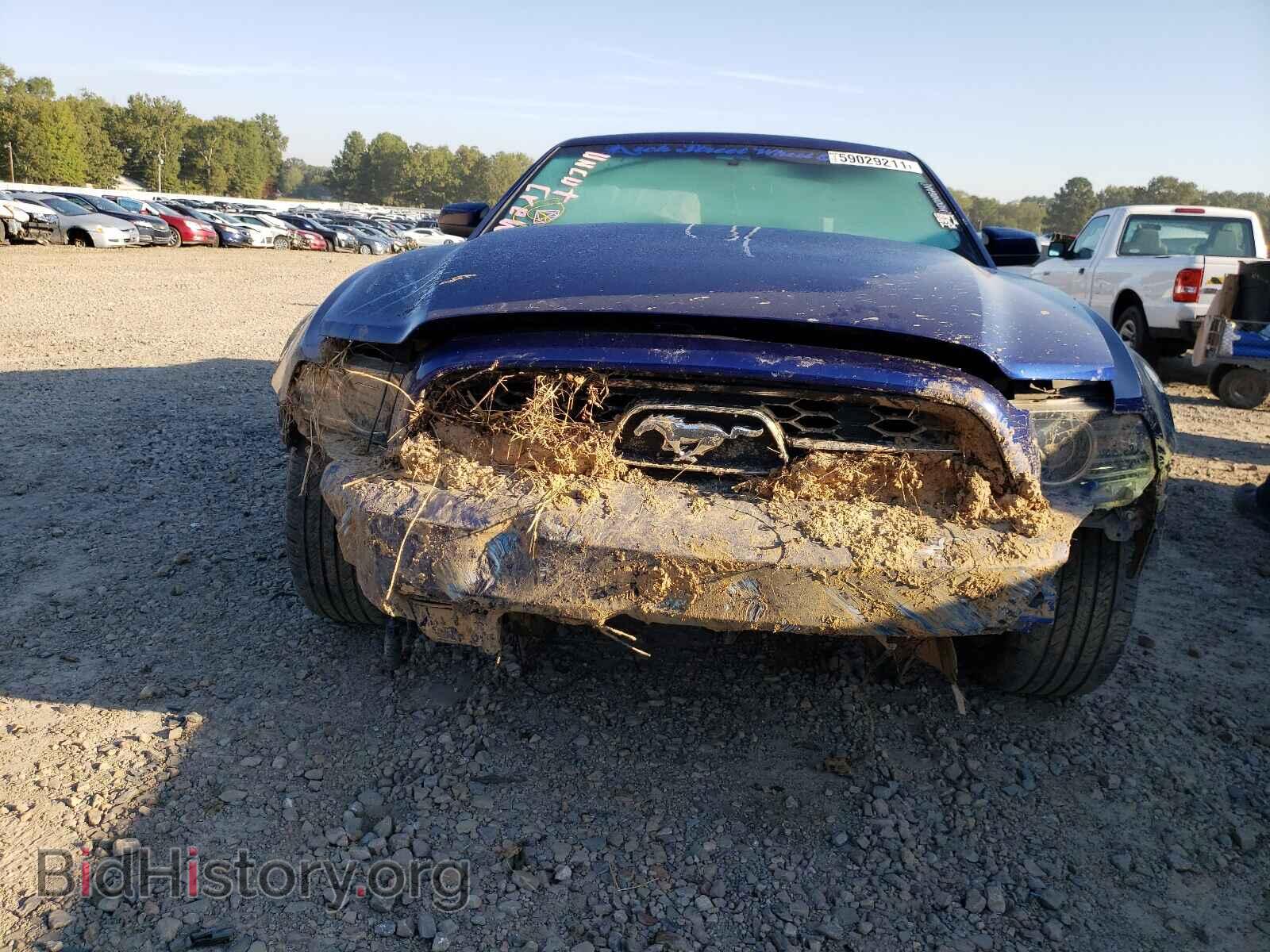 2014 FORD MUSTANG - VIN: 1ZVBP8AM6E5318295 - Фото 9