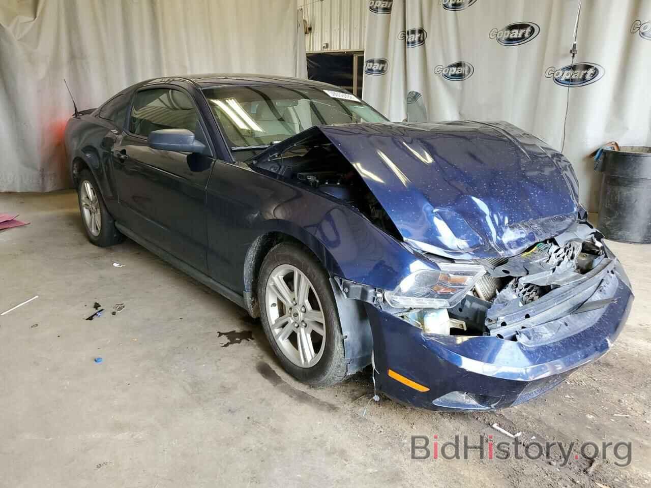 Photo 1ZVBP8AN9A5180822 - FORD MUSTANG 2010