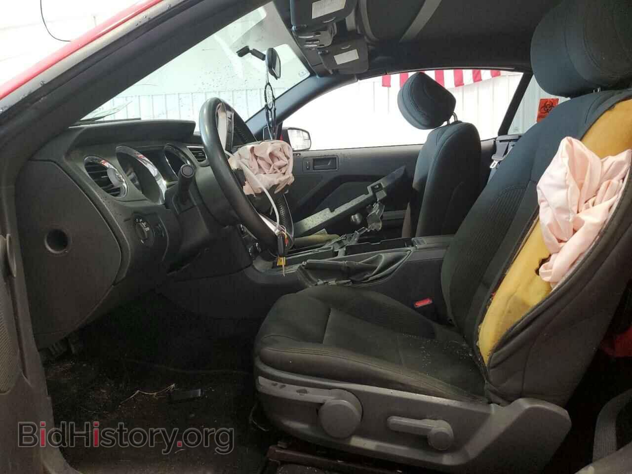 2013 FORD MUSTANG - VIN: 1ZVBP8FF1D5272495 - Фото 7