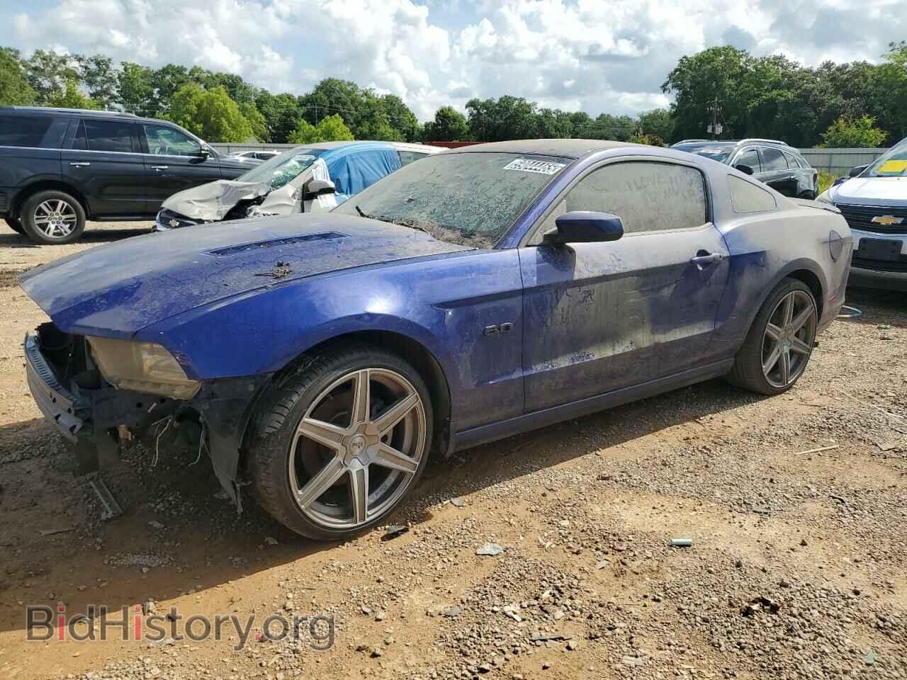 Фотография 1ZVBP8CF6D5235530 - FORD MUSTANG 2013