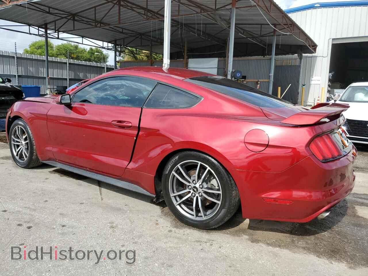 2017 FORD ALL Models - VIN: 1FA6P8TH4H5344800 - Фото 2