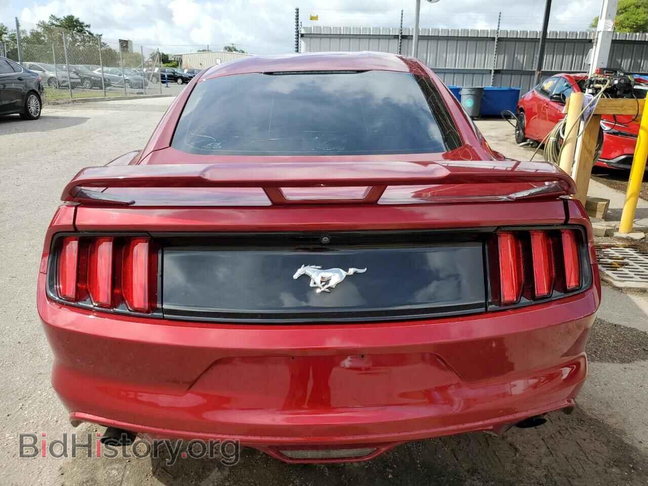 2017 FORD ALL Models - VIN: 1FA6P8TH4H5344800 - Фото 6