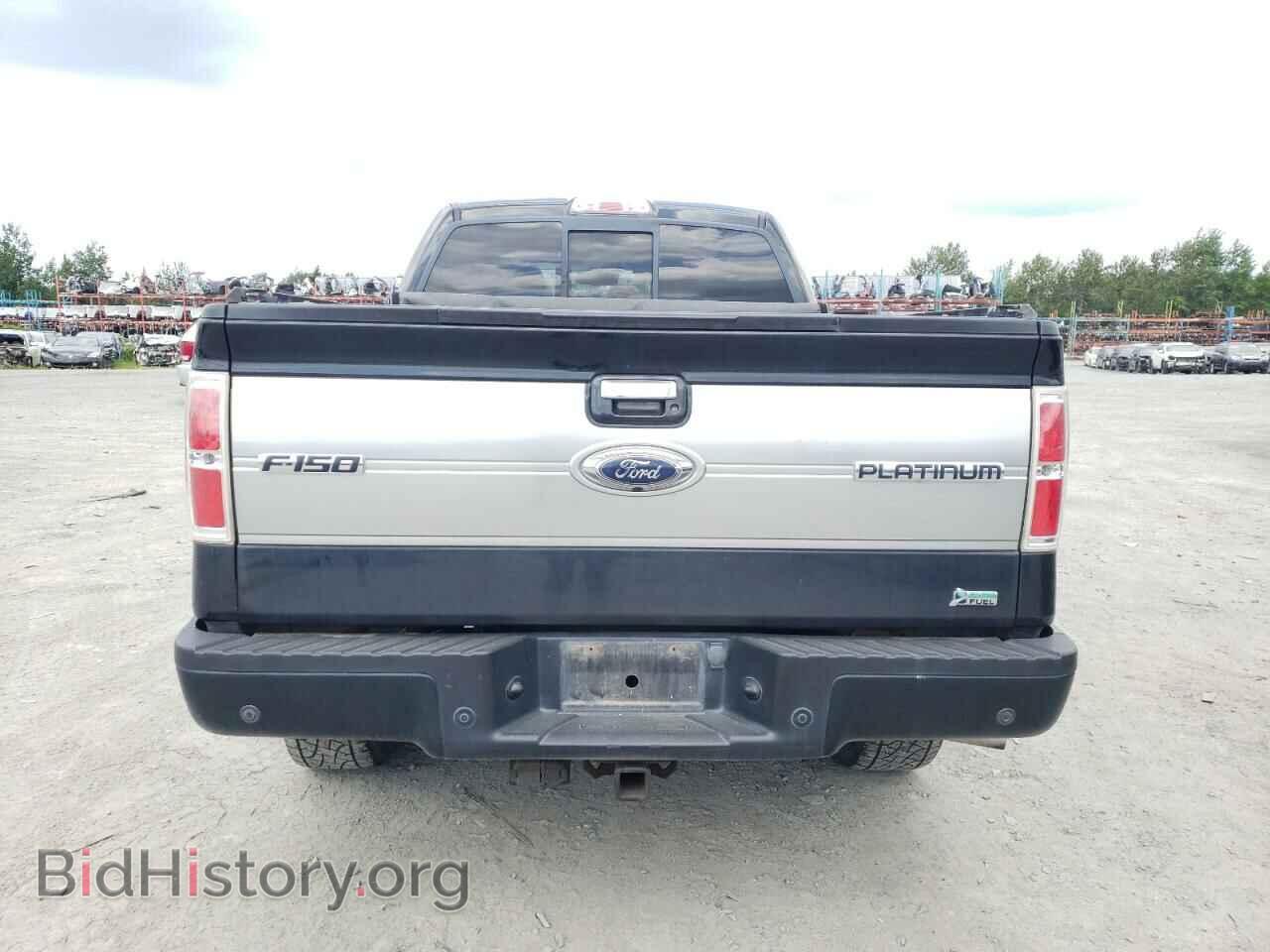 2010 FORD F-150 - VIN: 1FTFW1EV3AFA38193 - Фото 6