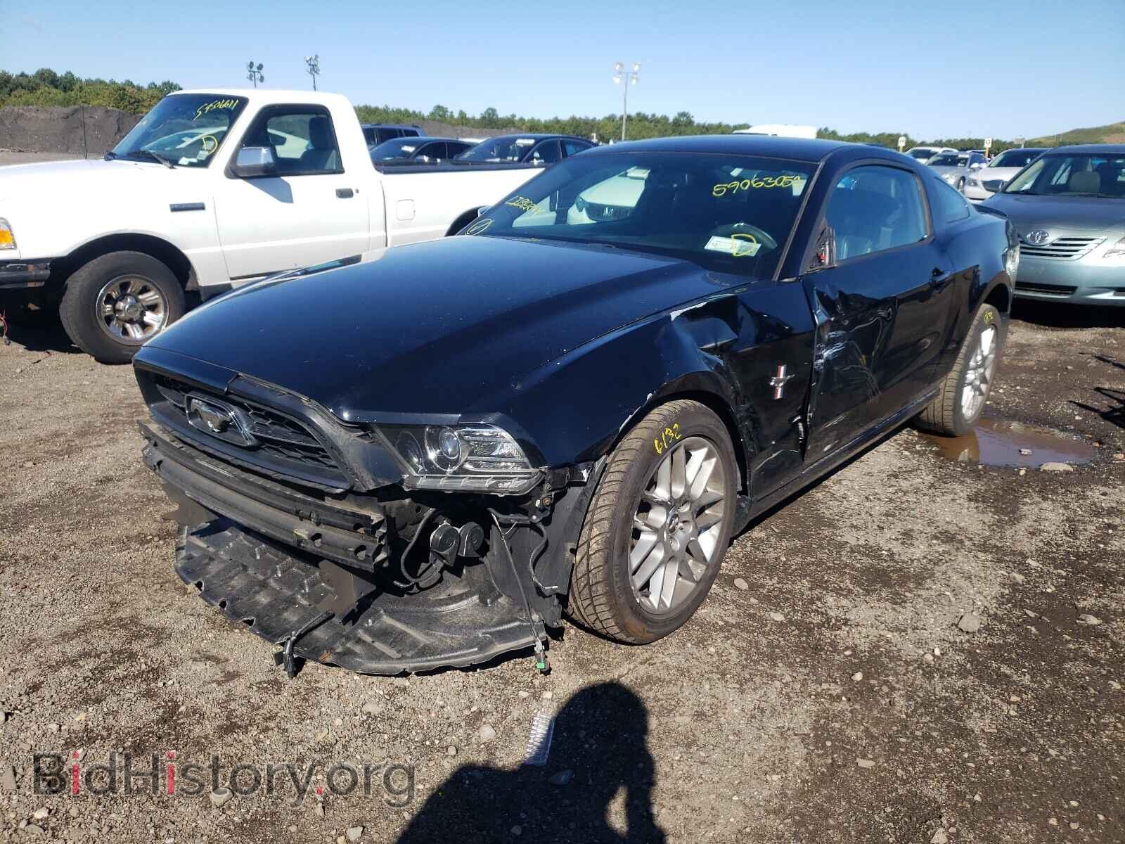 2013 FORD MUSTANG - VIN: 1ZVBP8AM2D5253248 - Photo 2