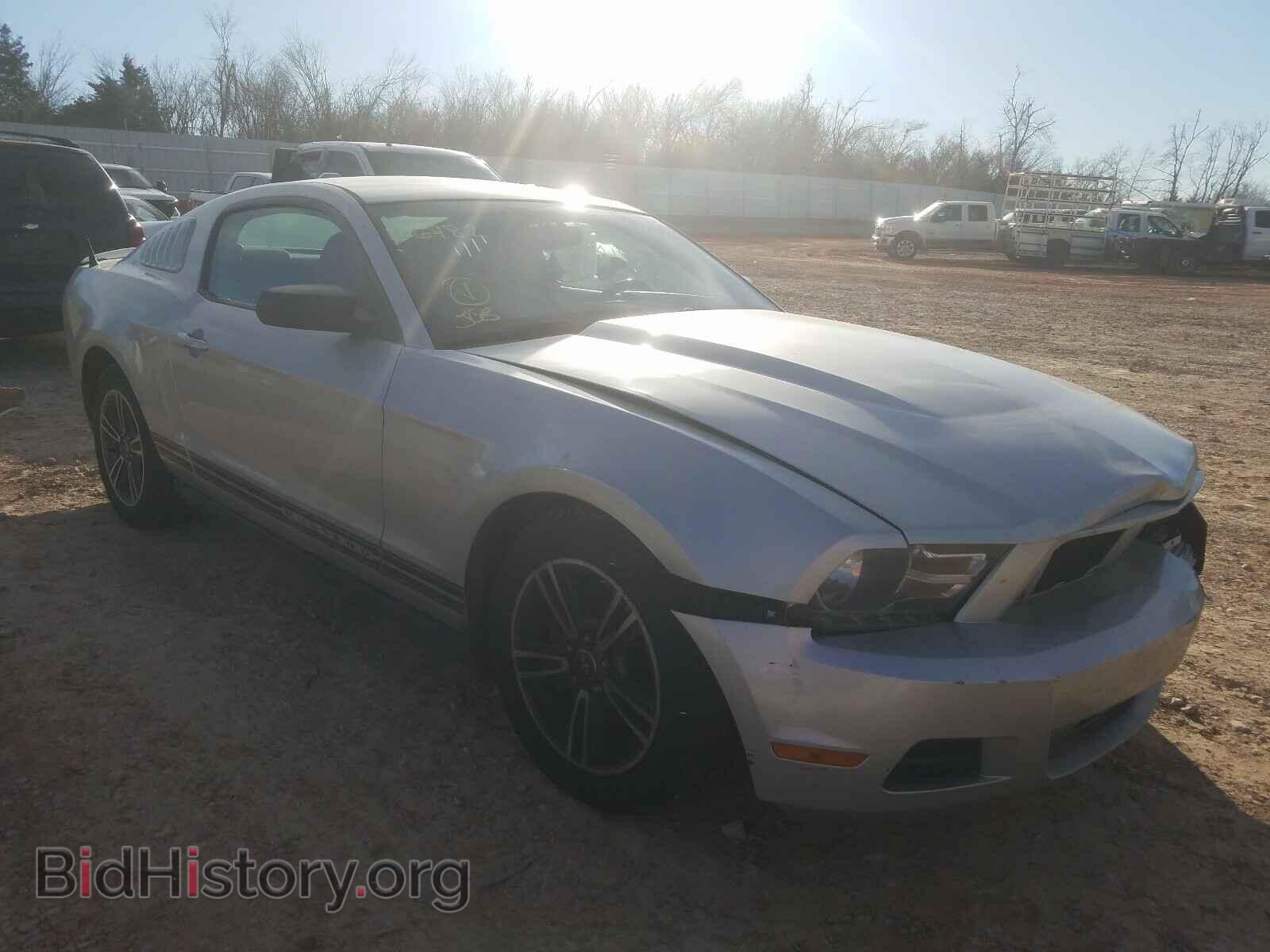 Фотография 1ZVBP8AN8A5166782 - FORD MUSTANG 2010