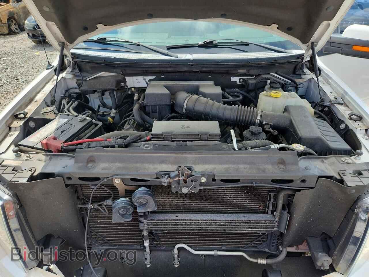 2011 FORD F150 - VIN: 1FTFW1E63BFB68131 - Photo 11
