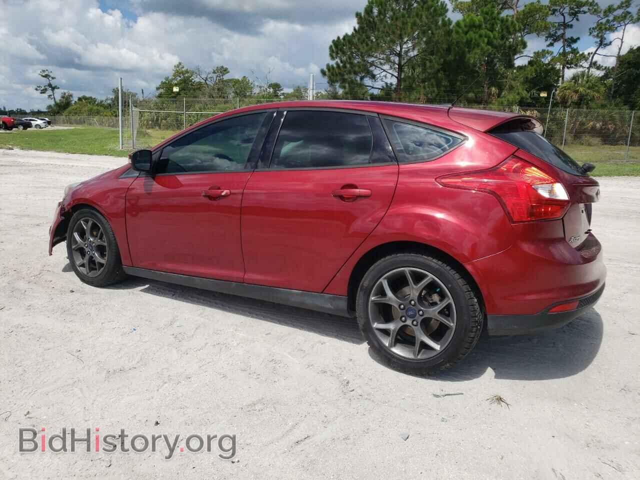 2013 FORD FOCUS - VIN: 1FADP3K26DL312007 - Фото 2