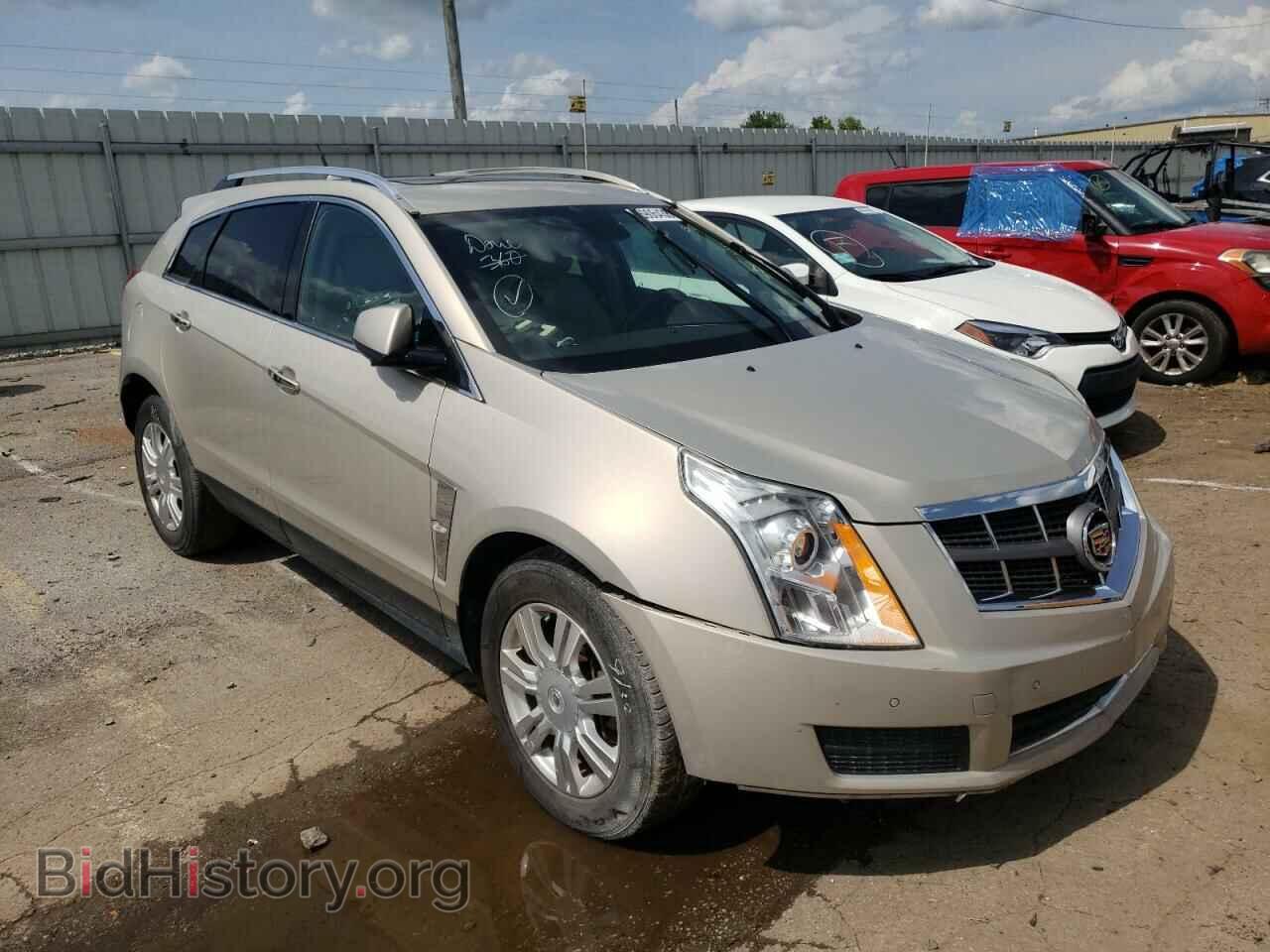 Фотография 3GYFNDEY9BS569257 - CADILLAC SRX 2011