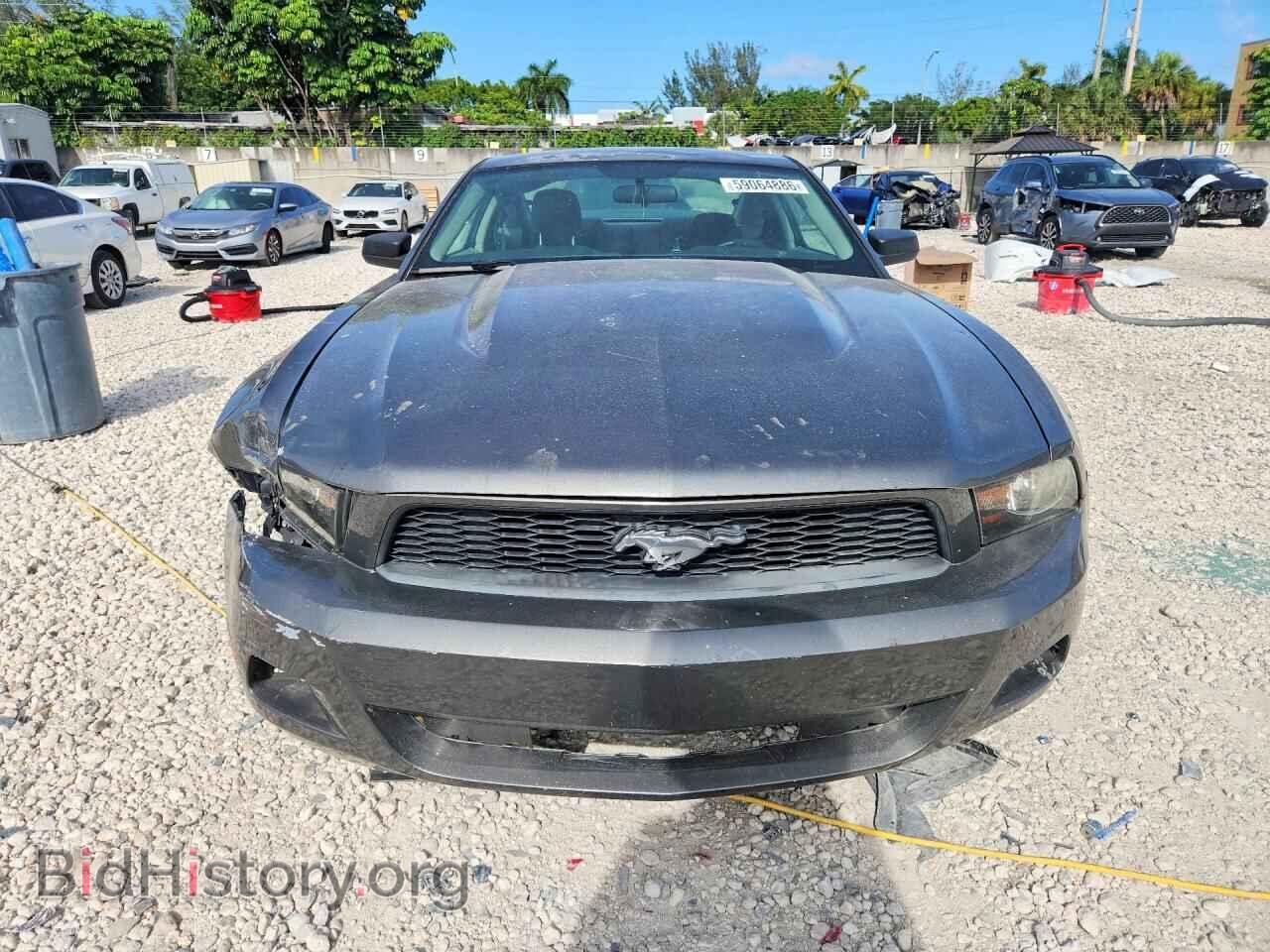 2010 FORD MUSTANG - VIN: 1ZVBP8AN2A5164171 - Фото 5