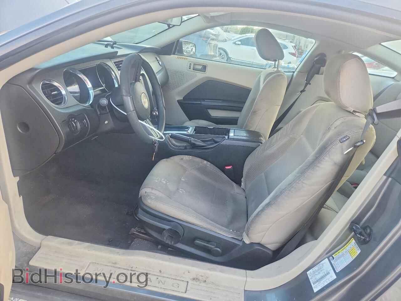 2010 FORD MUSTANG - VIN: 1ZVBP8AN2A5164171 - Фото 7