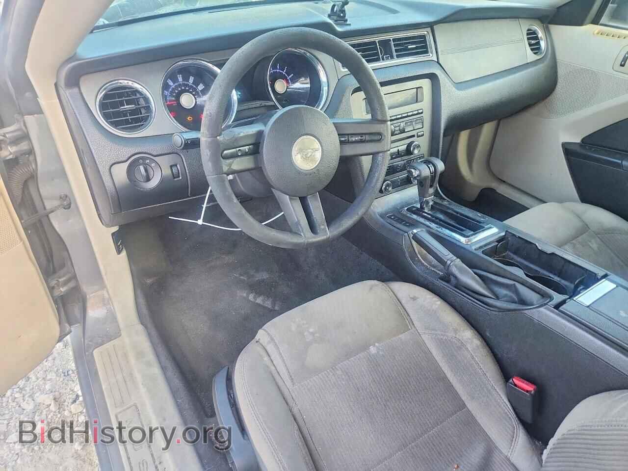 2010 FORD MUSTANG - VIN: 1ZVBP8AN2A5164171 - Фото 8