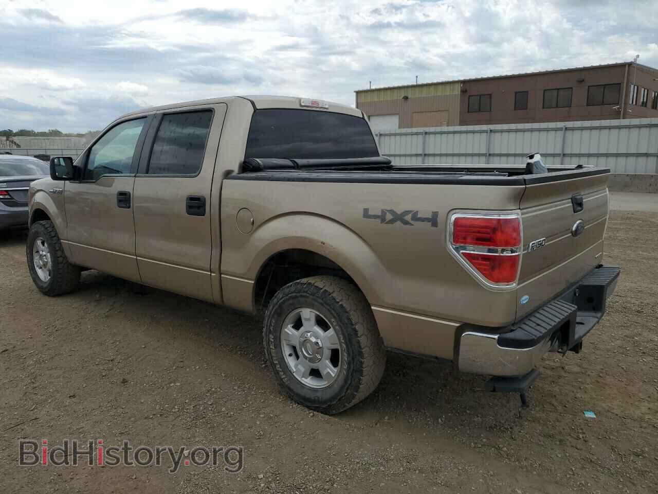 2013 FORD F-150 - VIN: 1FTFW1EF8DFA87824 - Фото 2