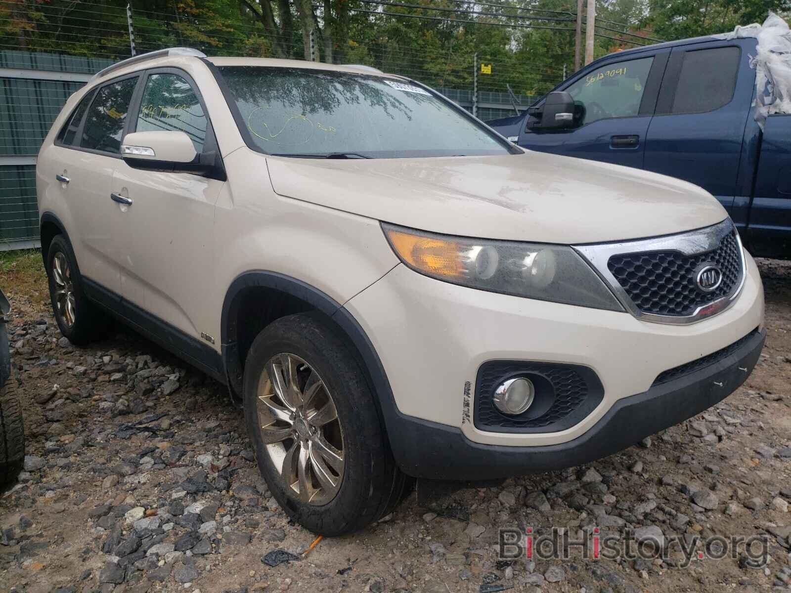 Photo 5XYKUDA13BG073503 - KIA SORENTO 2011