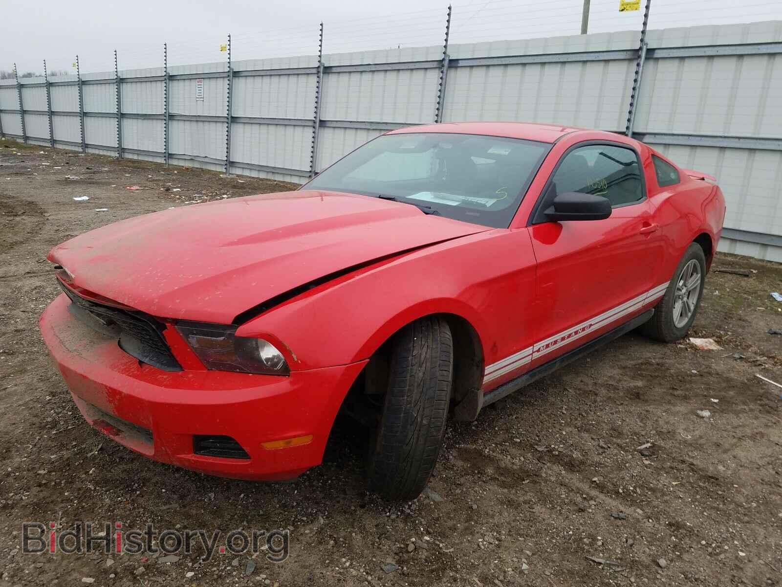 2012 FORD MUSTANG - VIN: 1ZVBP8AM8C5265919 - Фото 2