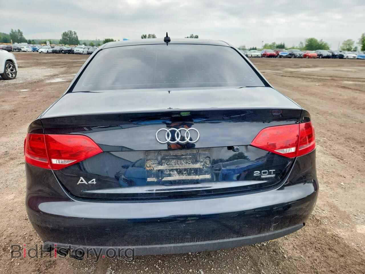 2010 AUDI A4 - VIN: WAUBFAFL4AN016573 - Фото 6