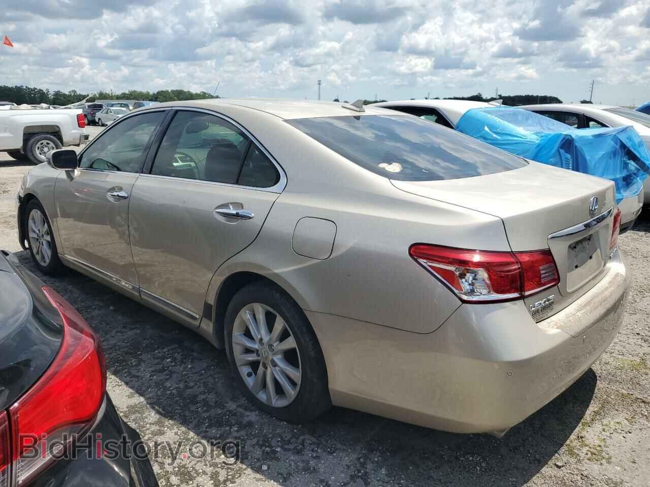 2010 LEXUS ES350 - VIN: JTHBK1EG9A2401808 - Фото 2