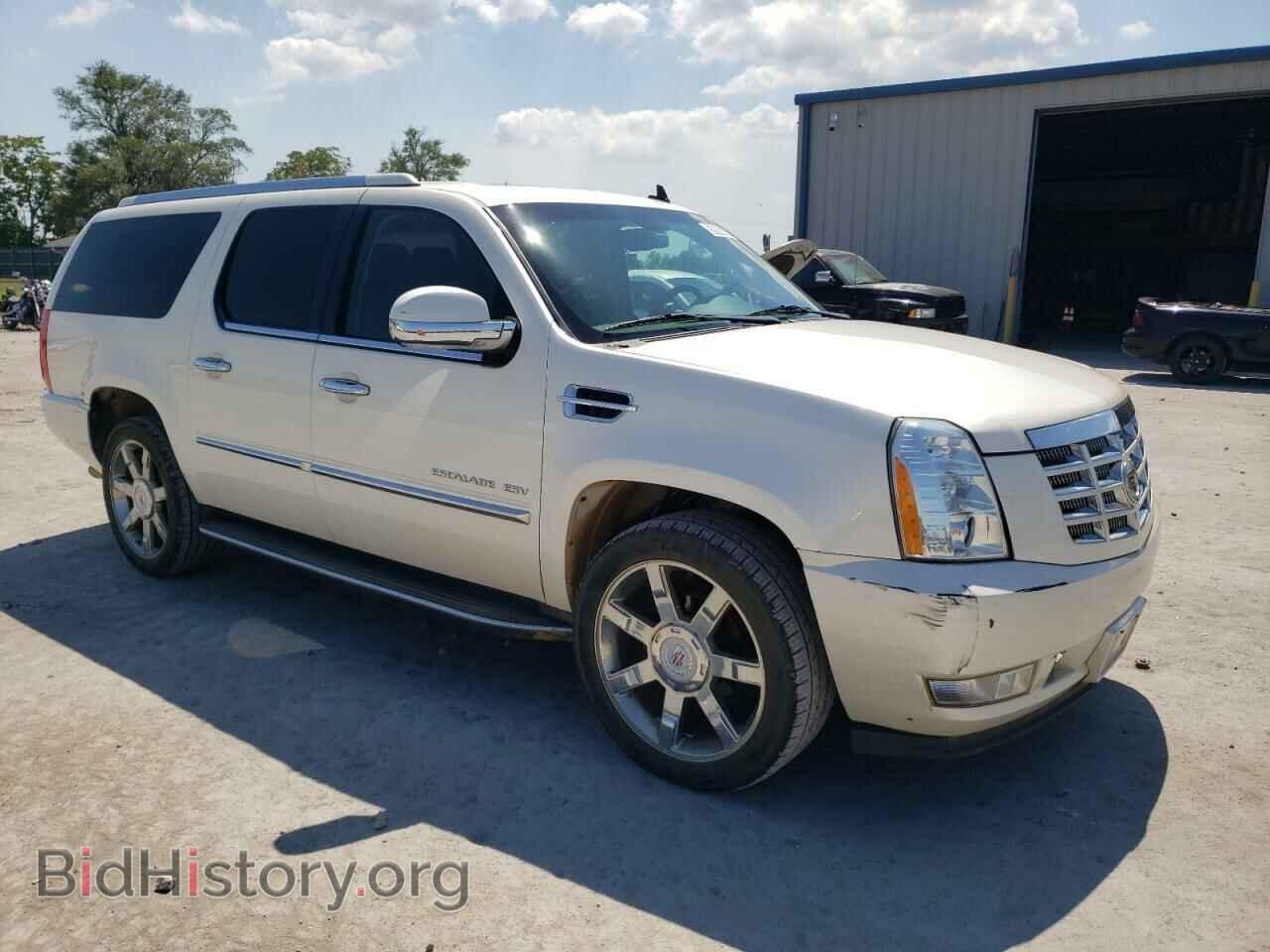 2013 CADILLAC ESCALADE - VIN: 1GYS4HEF4DR301729 - Фото 4