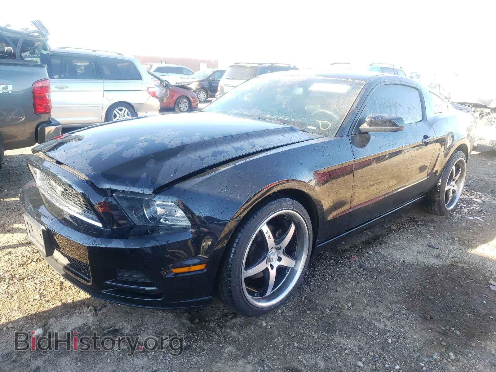 2014 FORD MUSTANG - VIN: 1ZVBP8AM3E5244110 - Фото 2