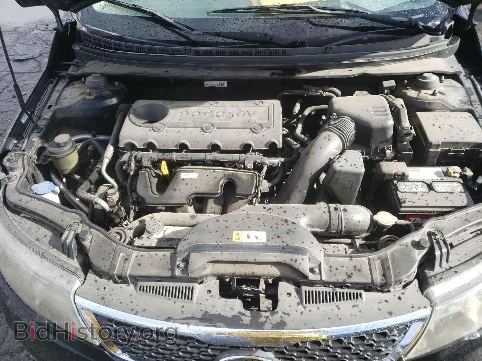 2013 KIA FORTE - VIN: KNAFT4A25D5715516 - Фото 7