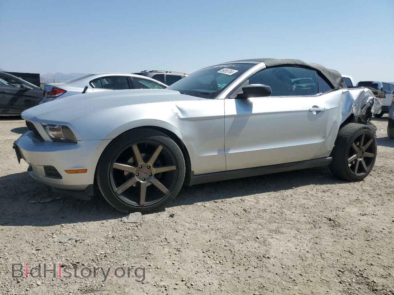 Photo 1ZVBP8EN6A5122435 - FORD ALL Models 2010