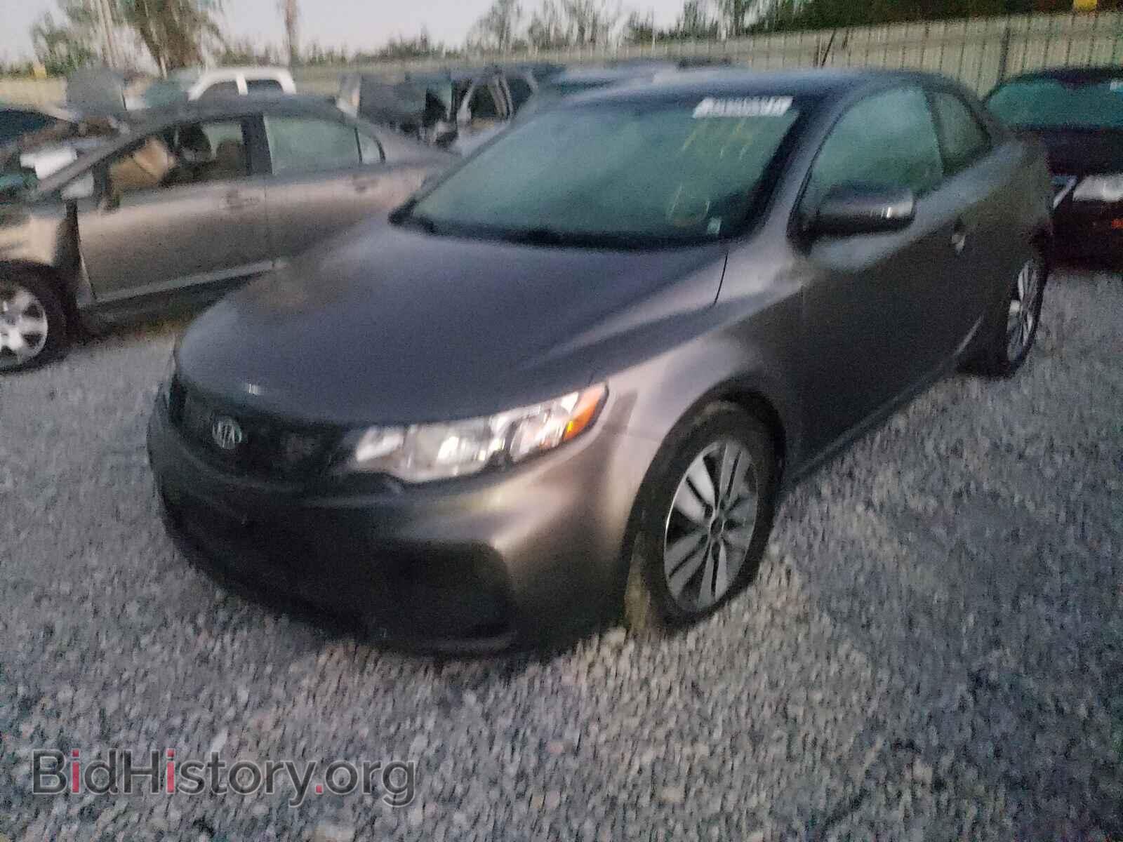2013 KIA FORTE - VIN: KNAFU6A29D5686854 - Фото 2