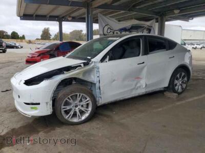 2023 Tesla MODEL Y, white — VIN 7SAYGDEEXPF742575, Copart