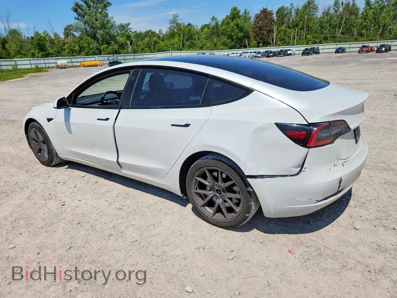 2023 TESLA MODEL 3 - VIN: 5YJ3E1EA7PF491300 - Photo 2