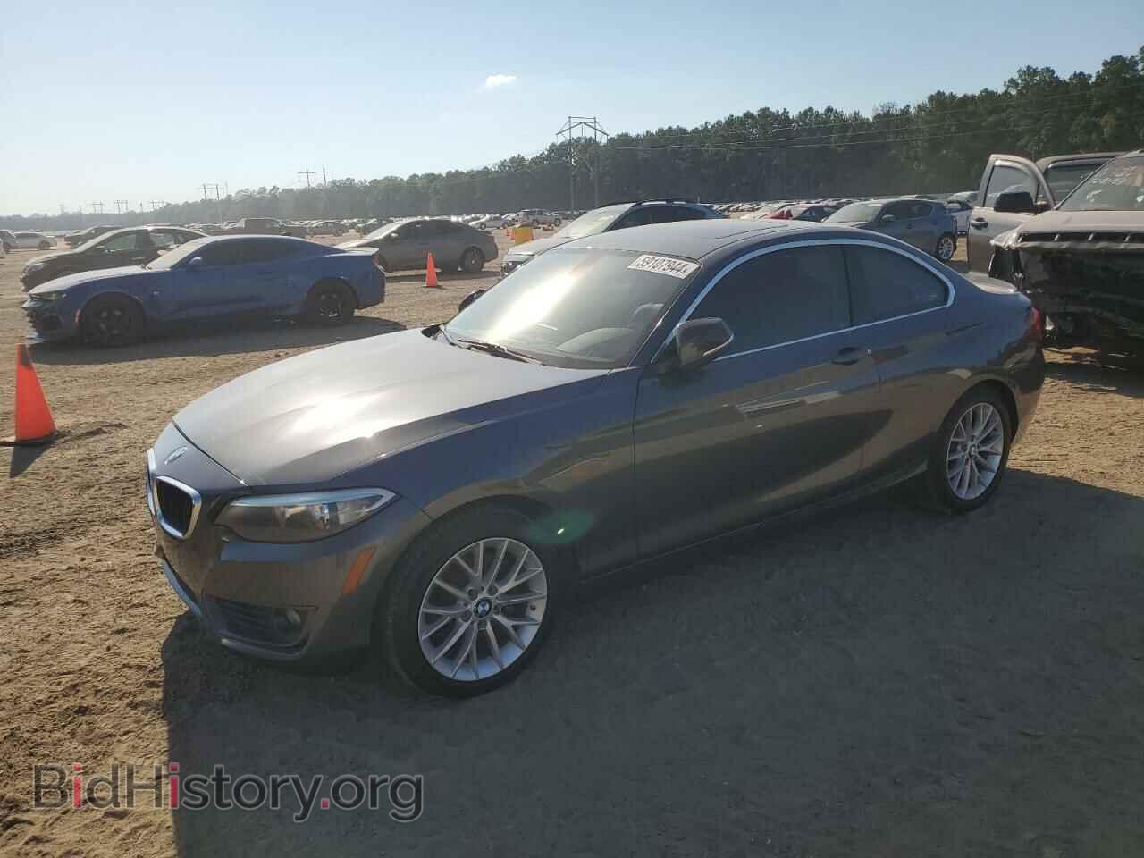Фотография WBA1F5C53EVV99166 - BMW 2 SERIES 2014