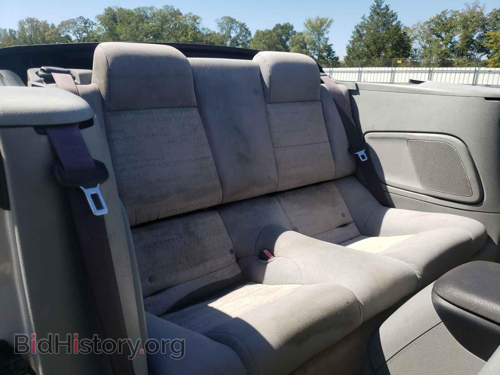 2006 FORD MUSTANG - VIN: 1ZVFT84N665123686 - Фото 6