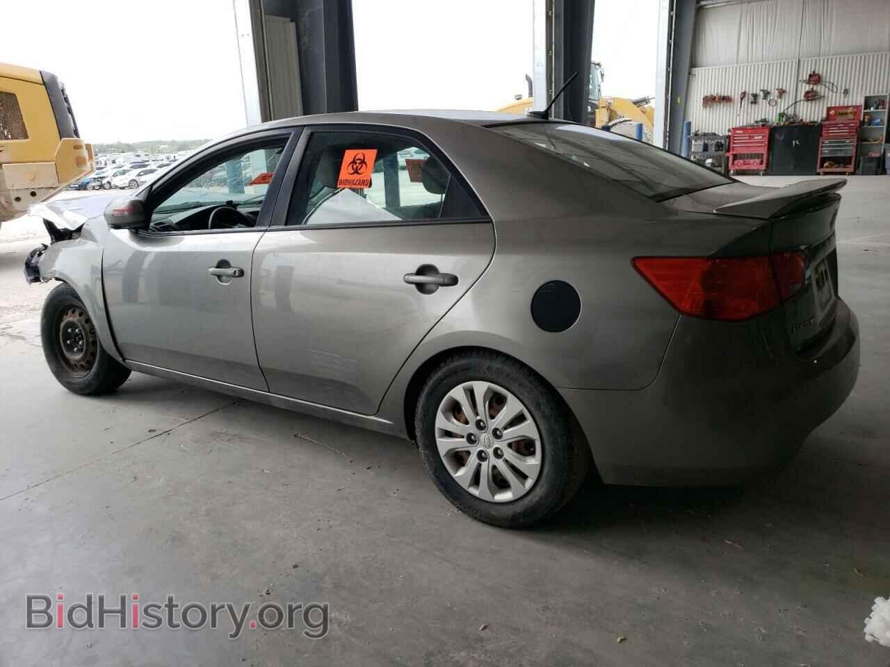 2011 KIA FORTE - VIN: KNAFU4A29B5397359 - Фото 2