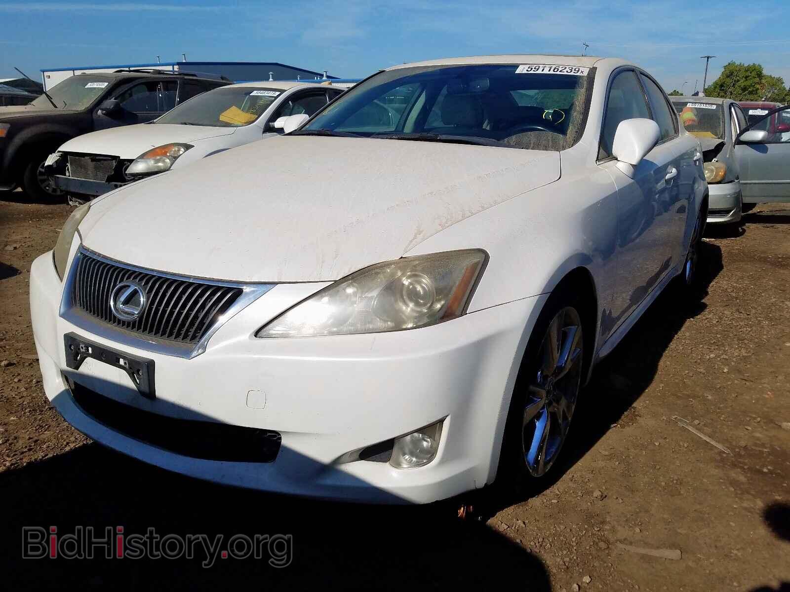 2010 LEXUS IS 250 - VIN: JTHBF5C26A5115786 - Фото 2