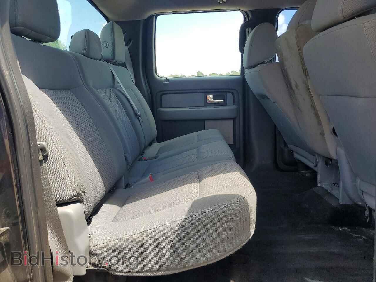 2013 FORD F150 - VIN: 1FTFW1CF4DFA90481 - Фото 10