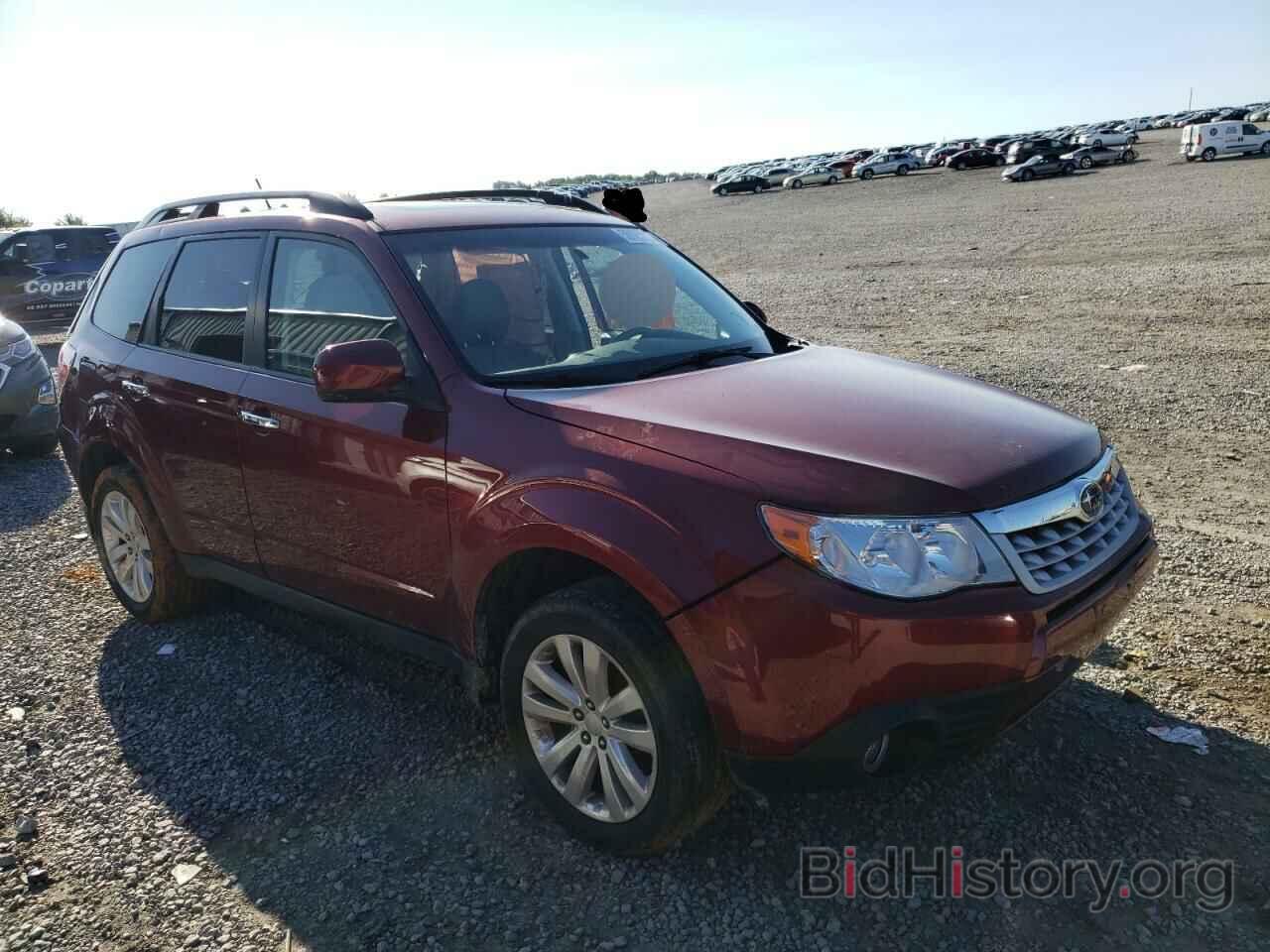 Photo JF2SHBEC9BH703408 - SUBARU FORESTER 2011