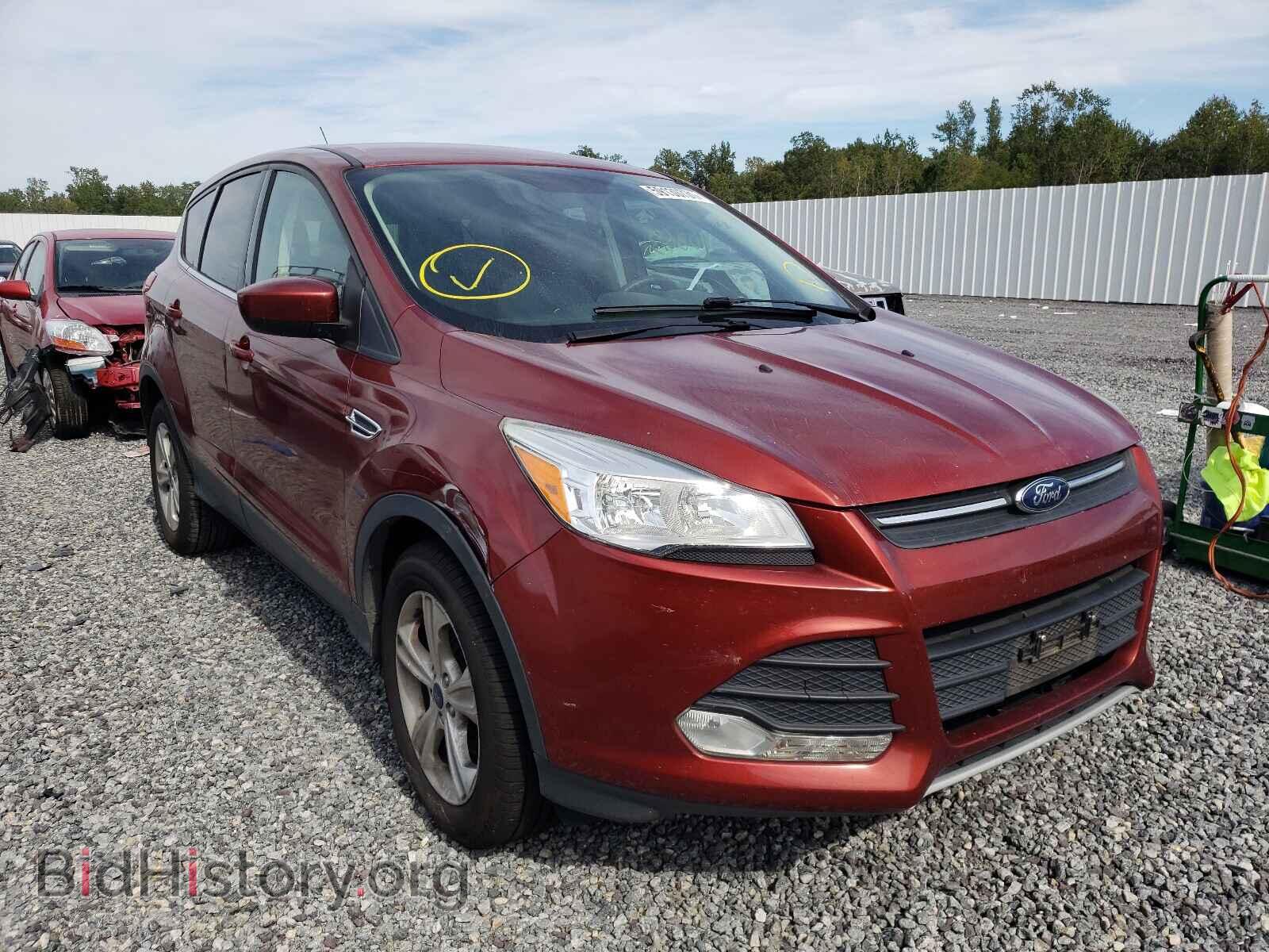 Фотография 1FMCU0GX7EUC64221 - FORD ESCAPE 2014
