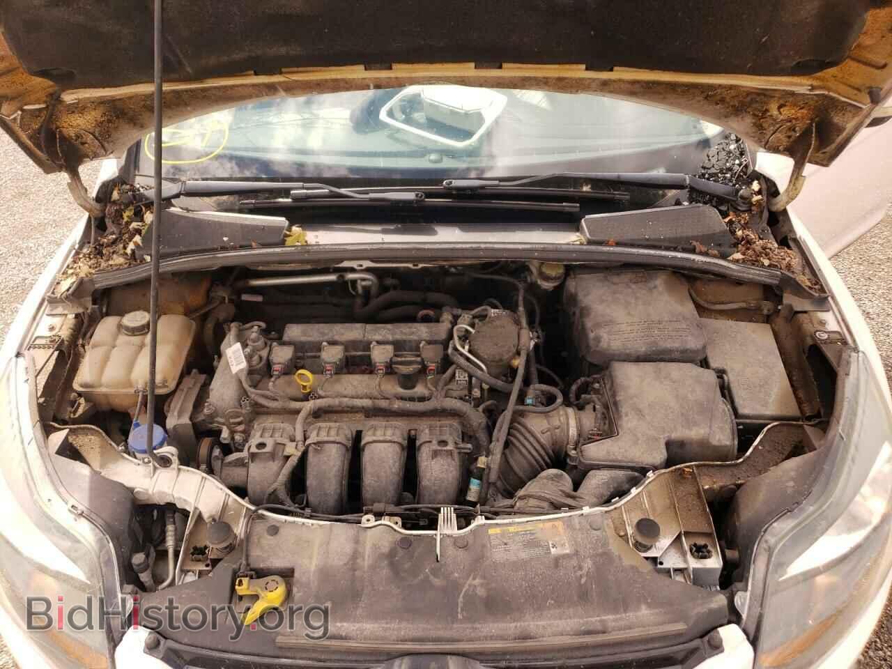 2013 FORD FOCUS - VIN: 1FADP3N2XDL303659 - Фото 7