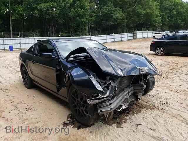 2014 FORD ALL Models - VIN: 1ZVBP8AM7E5325126 - Photo 11