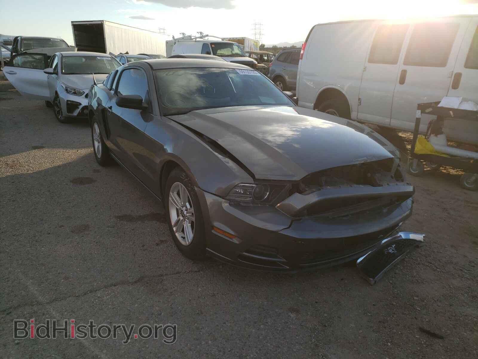 Photo 1ZVBP8AM5D5241787 - FORD MUSTANG 2013
