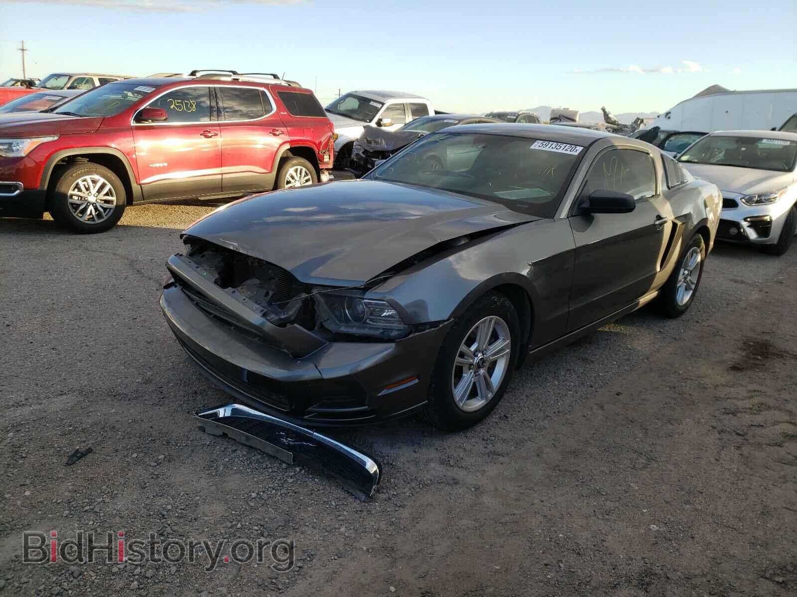 2013 FORD MUSTANG - VIN: 1ZVBP8AM5D5241787 - Фото 2