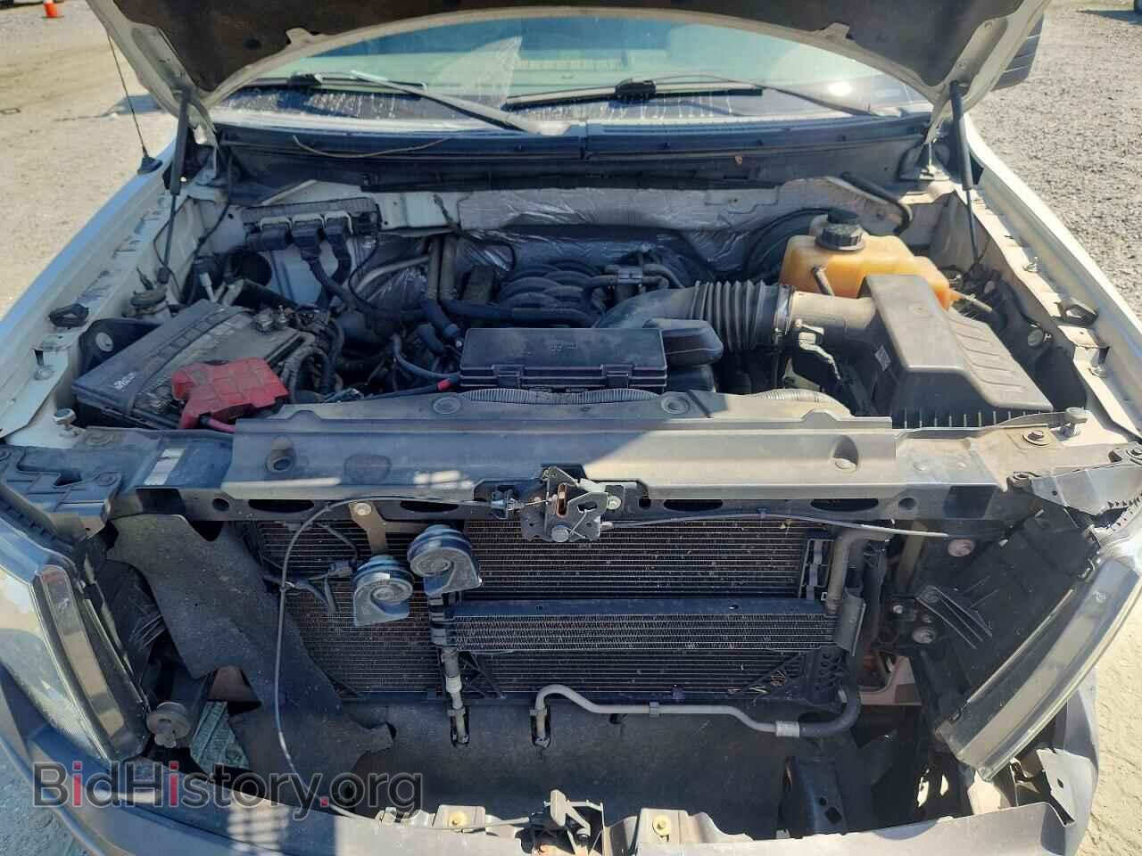 2012 FORD F150 - VIN: 1FTNF1CF0CKE38486 - Фото 11