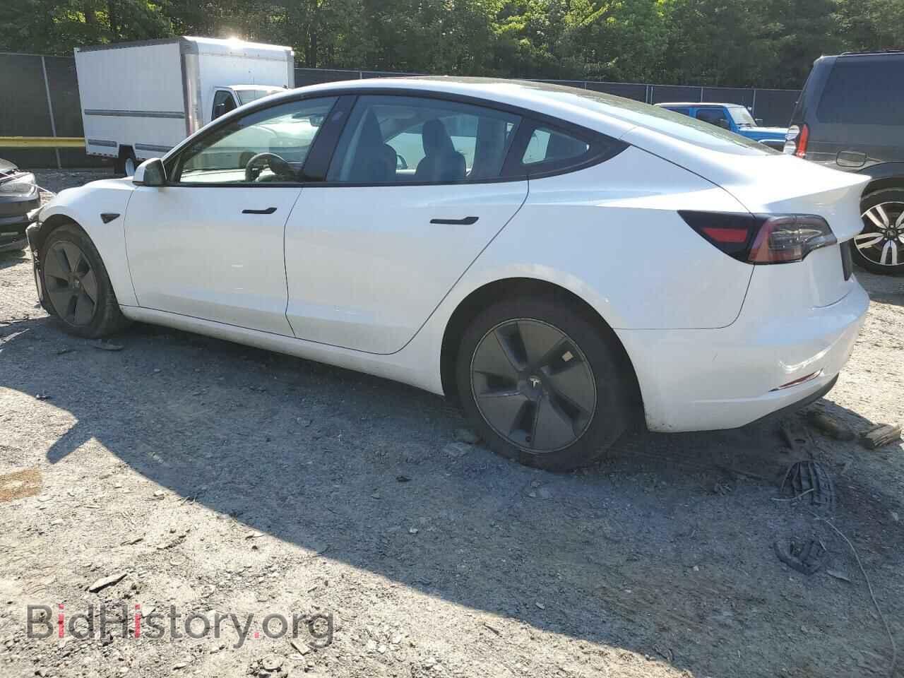 2023 TESLA MODEL 3 - VIN: 5YJ3E1EA1PF560501 - Photo 2