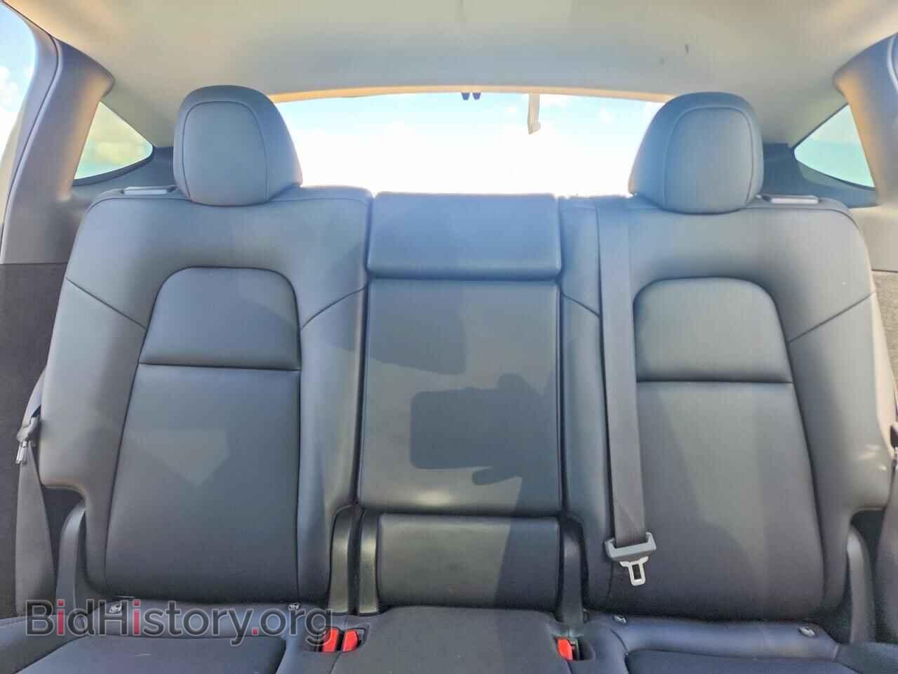 2024 TESLA MODEL Y - VIN: 7SAYGDED0RF041831 - Photo 10