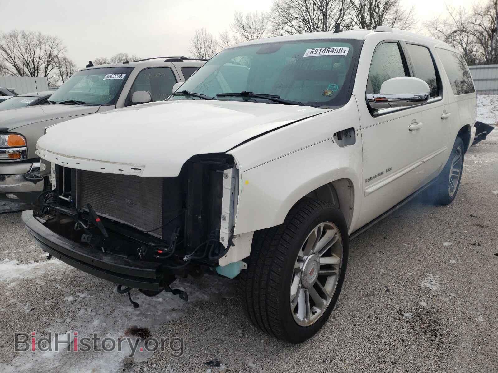 2013 CADILLAC ESCALADE - VIN: 1GYS4JEF0DR164683 - Фото 2