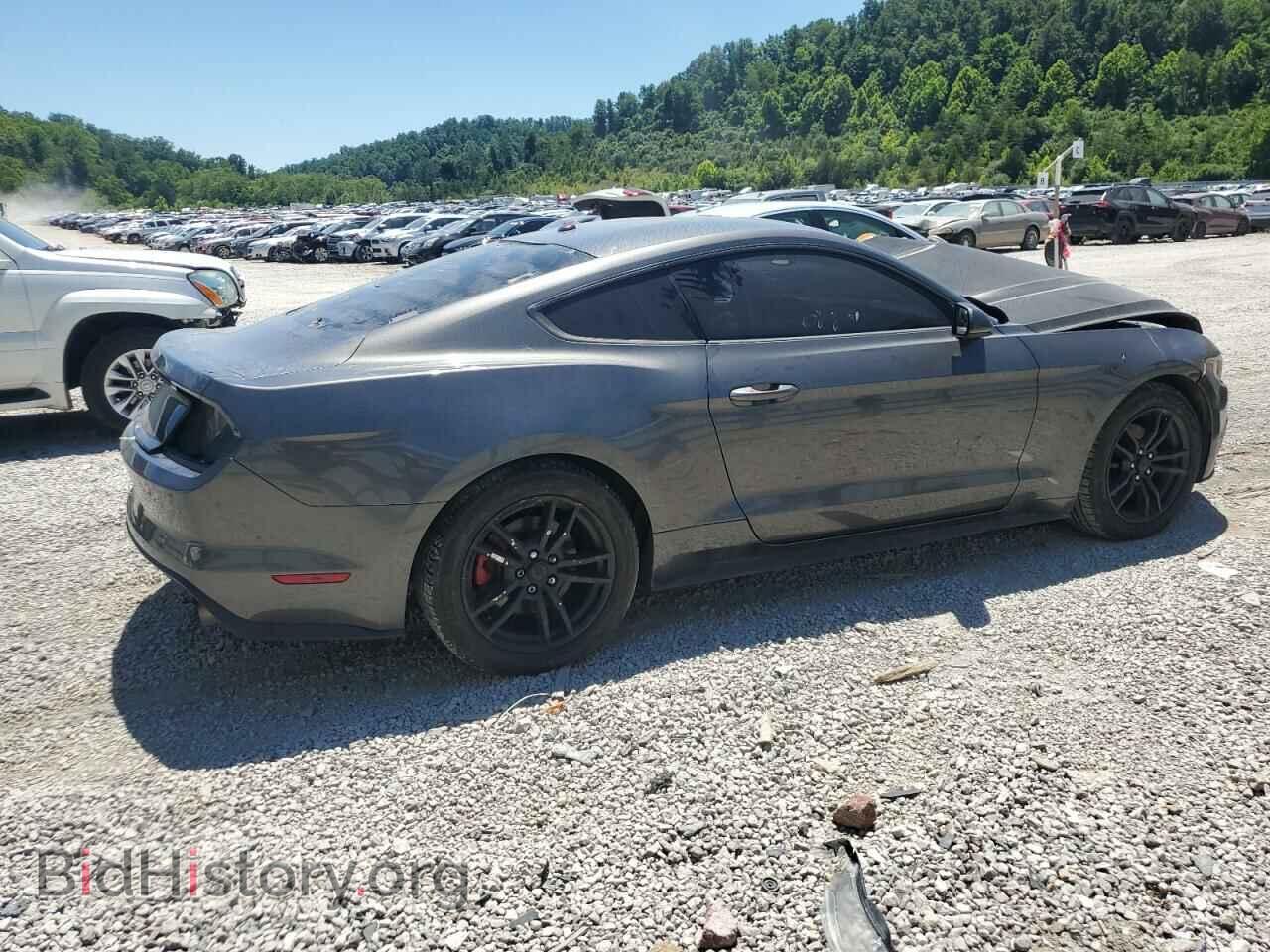 2017 FORD ALL Models - VIN: 1FA6P8TH1H5244976 - Фото 3