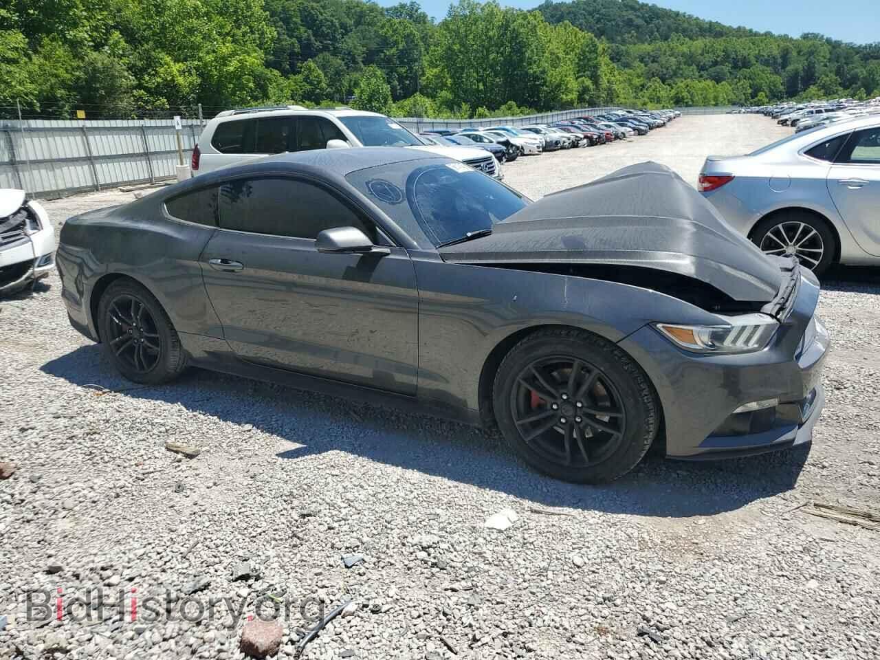 2017 FORD ALL Models - VIN: 1FA6P8TH1H5244976 - Фото 4